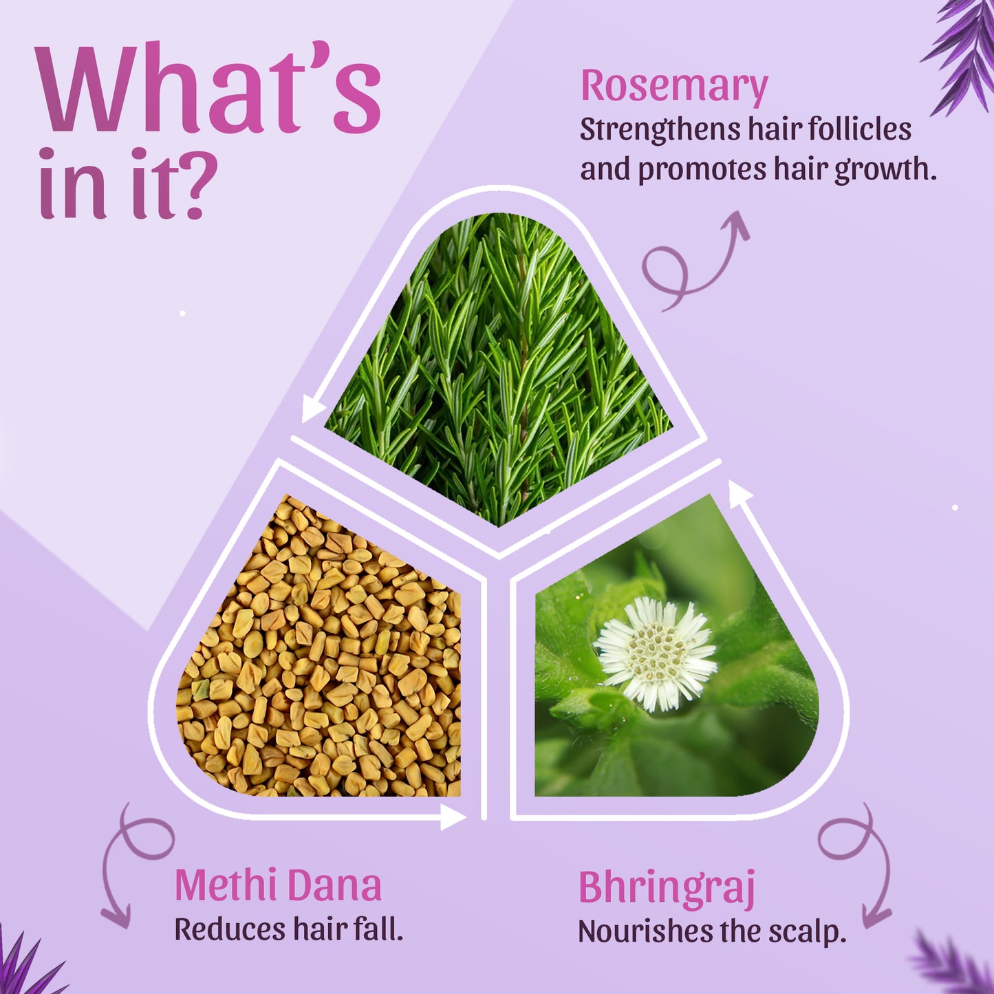 Rosemary Oil & Shampoo Free