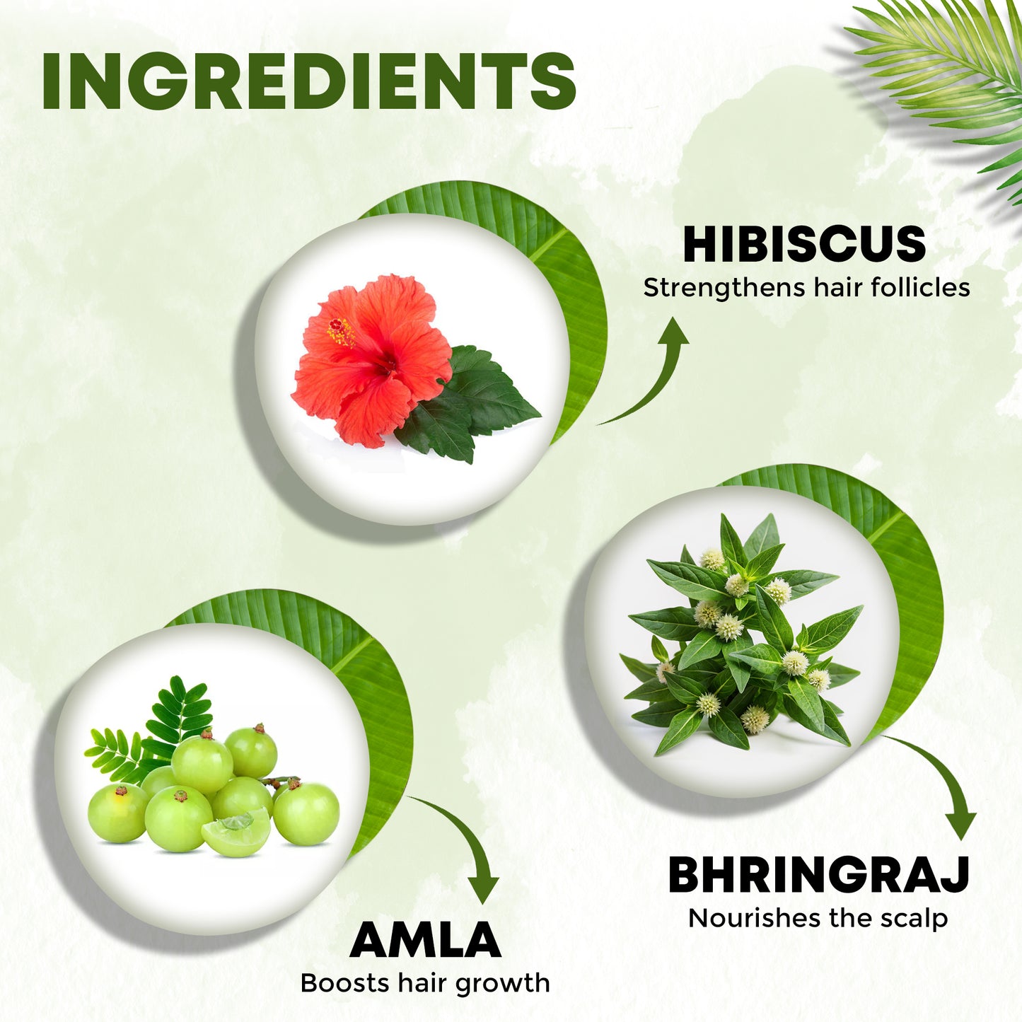 Nimson Kerala Ayurvedic Hair Oil – Boosts Growth & Revitalizes Hair