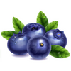 Silk Plus Tulip- Blueberry Hair Removal Cream For Sensitive Skin