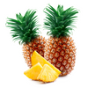 YAY Pina Colada Lip Balm – Tropical Hydration for Soft Lips