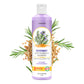 Rosemary Hair Oil, Shampoo & Hair Growth Spray
